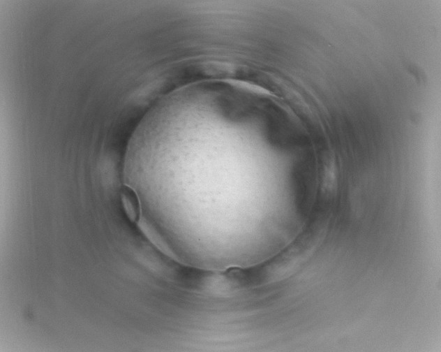 X0000115730616200911251939