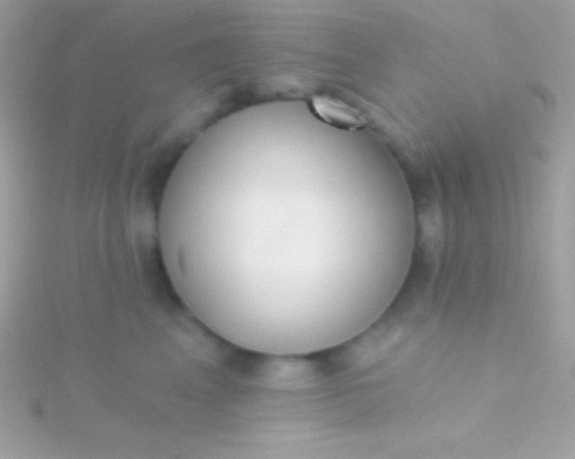 X0000115730617200911251939