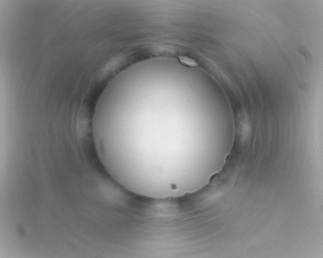 X0000115730619200911251939