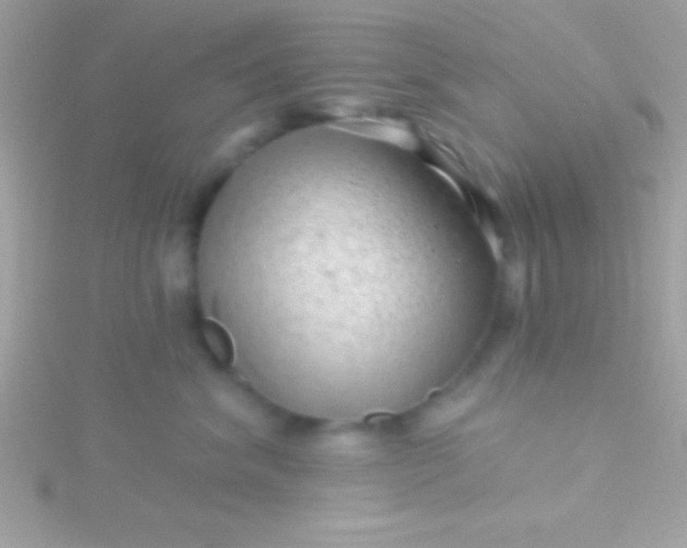 X0000115730620200911251939