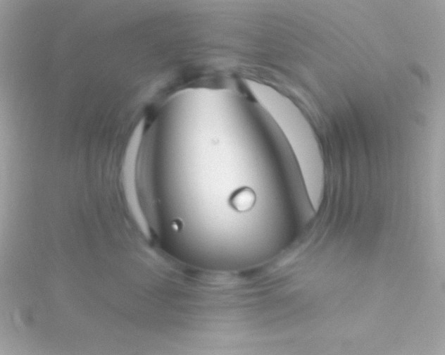 X0000115730621200911251939