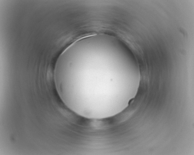 X0000115730623200911251939