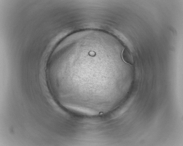 X0000115730625200911251938