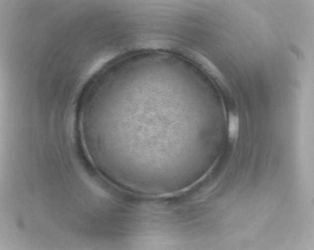 X0000115730627200911251938