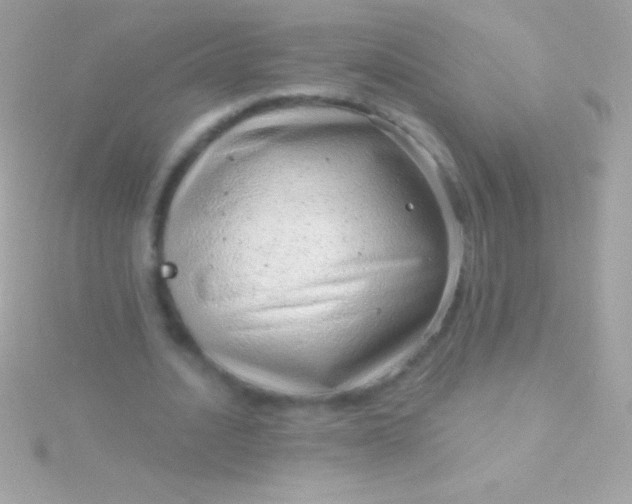 X0000115730628200911251938