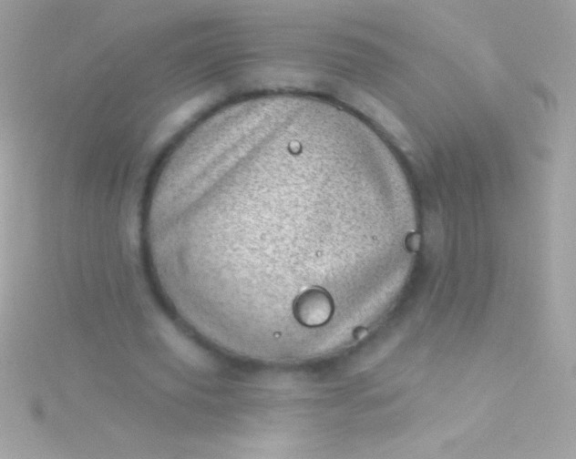 X0000115730629200911251938