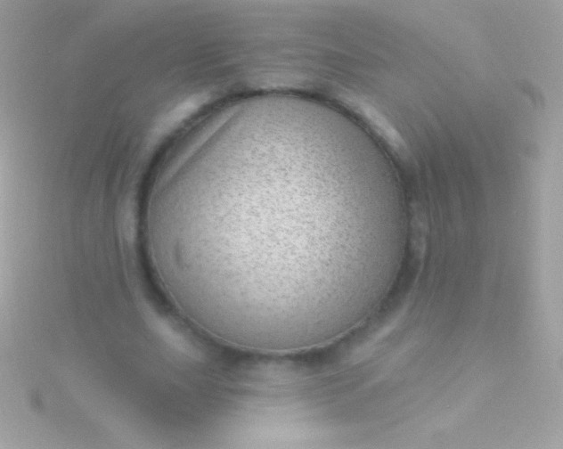 X0000115730631200911251939