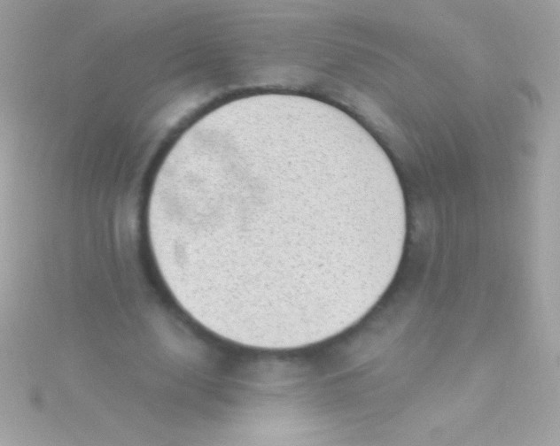 X0000115730632200911251939