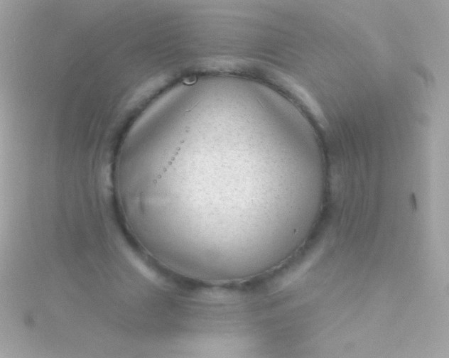 X0000115730633200911251939