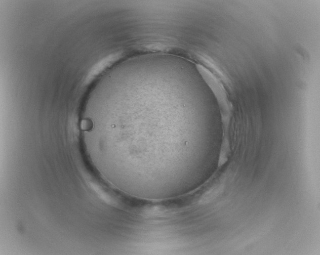 X0000115730634200911251939