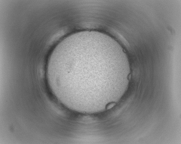 X0000115730635200911251939