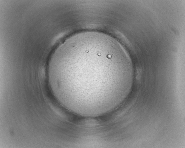 X0000115730636200911251939