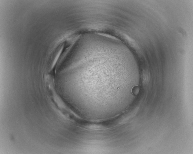 X0000115730637200911251939