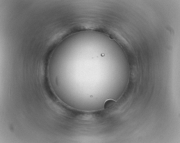 X0000115730639200911251939