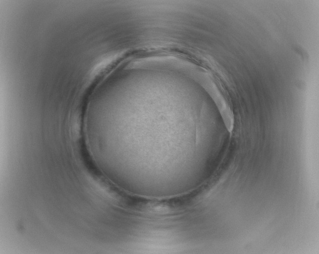 X0000115730640200911251939