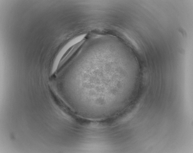 X0000115730641200911251939