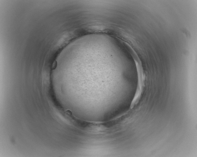 X0000115730642200911251939