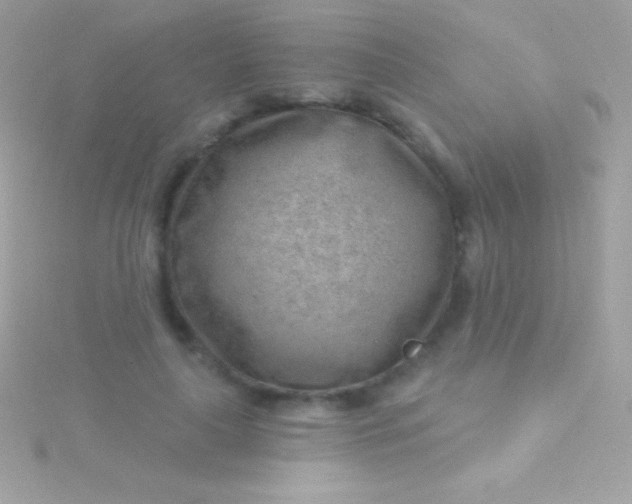 X0000115730643200911251939