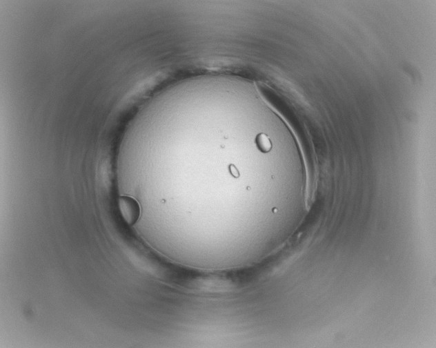 X0000115730644200911251939