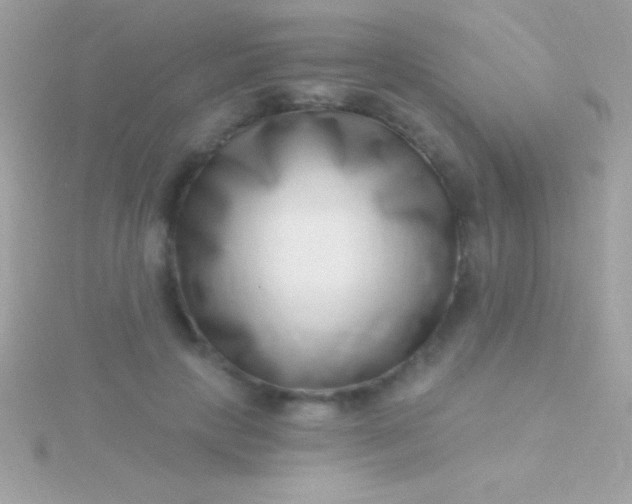 X0000115730649200911251939