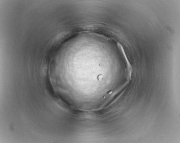 X0000115730652200911251939