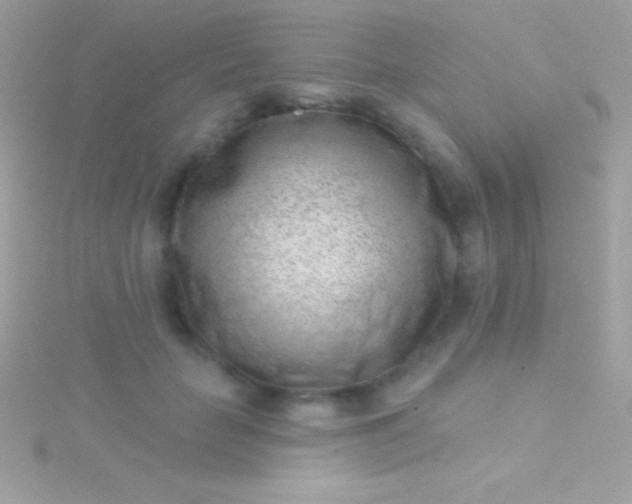 X0000115730653200911251939