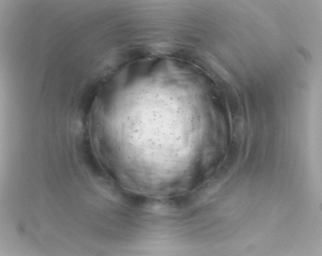 X0000115730655200911251939