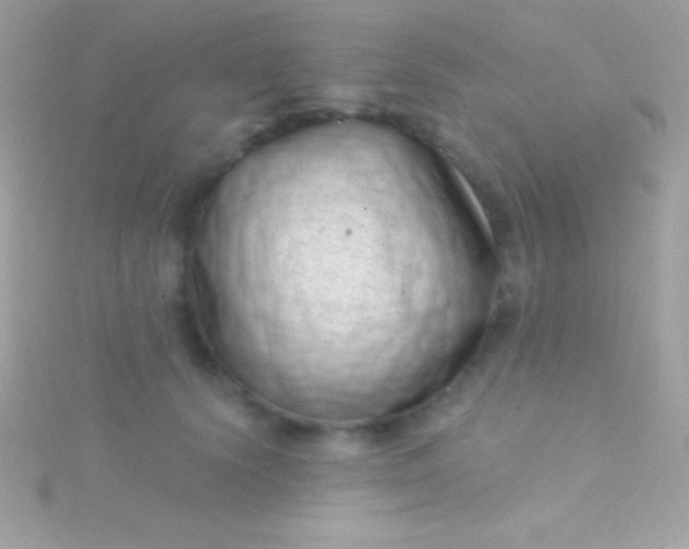 X0000115730656200911251939