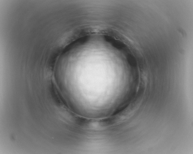 X0000115730657200911251939