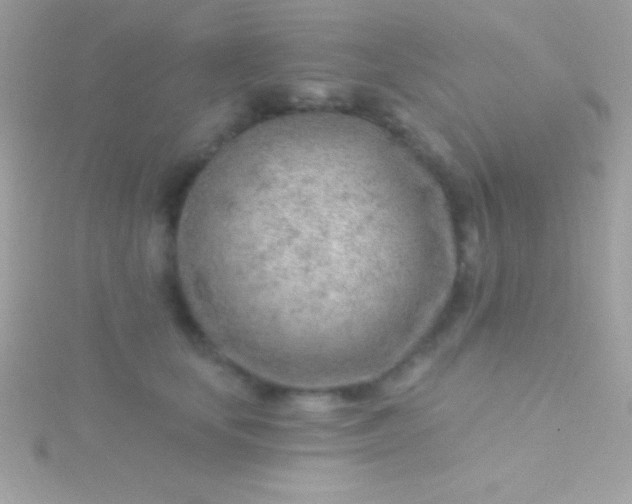 X0000115730659200911251939