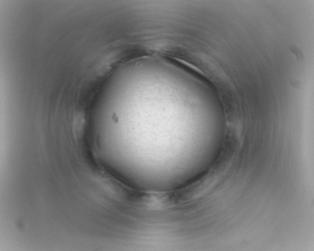 X0000115730660200911251939