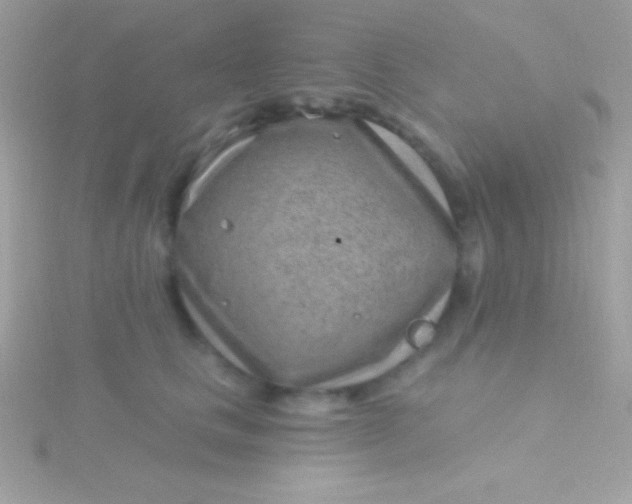 X0000115730661200911251939