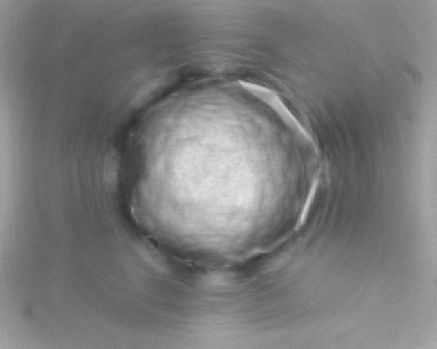 X0000115730664200911251939