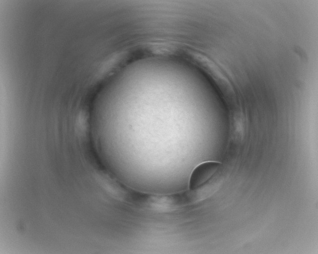 X0000115730667200911251939