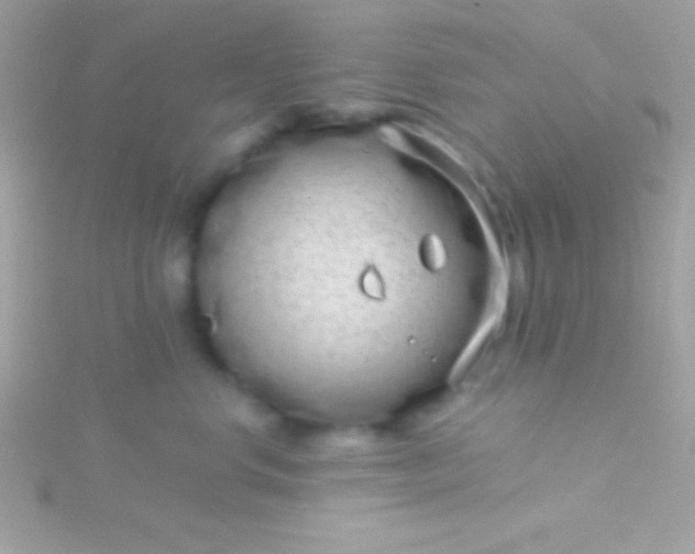 X0000115730668200911251939