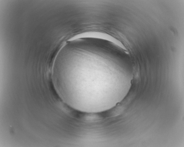 X0000115730669200911251939