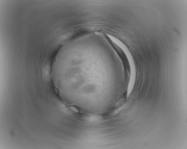 X0000115730670200911251939