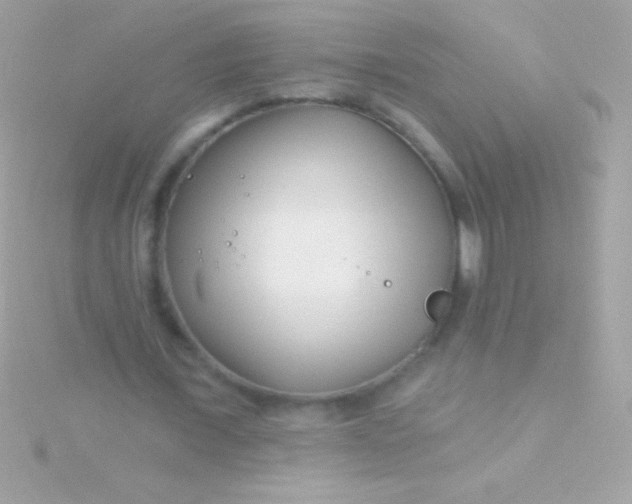 X0000115730675200911251938