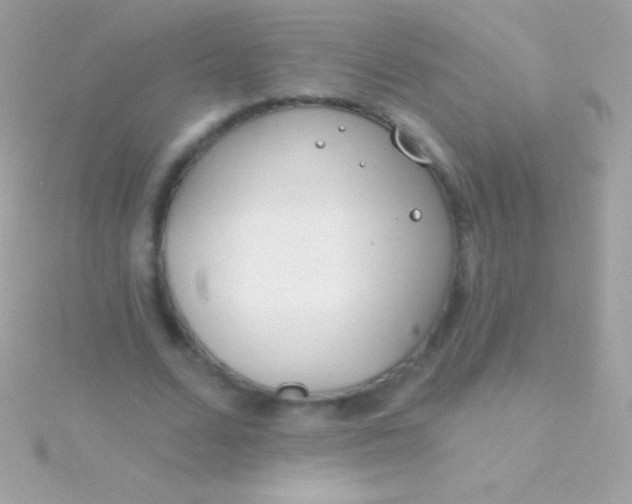 X0000115730680200911251938