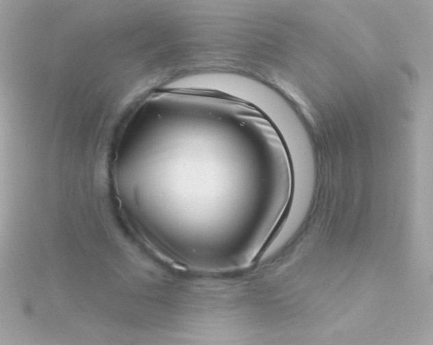 X0000115730681200911251938