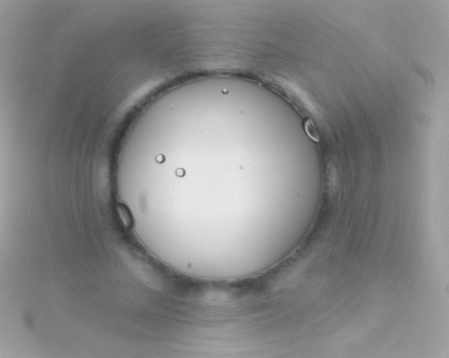 X0000115730684200911251938