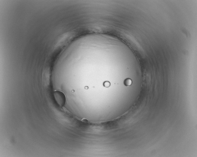 X0000115730694200911251938