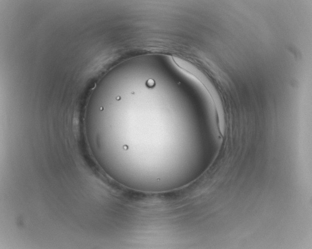 X0000115730696200911251938