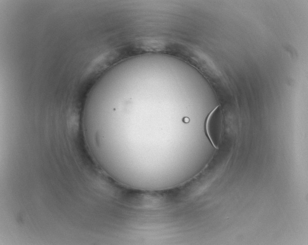 X0000115730697200911251938