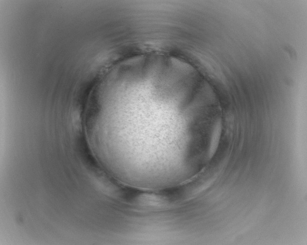 X0000115730699200911251938