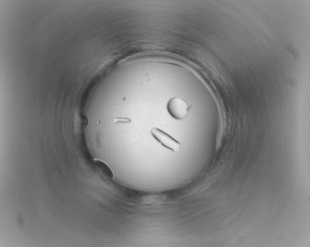 X0000115730700200911251938