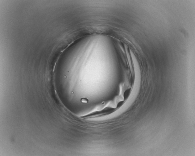 X0000115730701200911251938