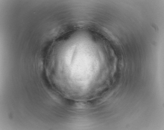 X0000115730703200911251938