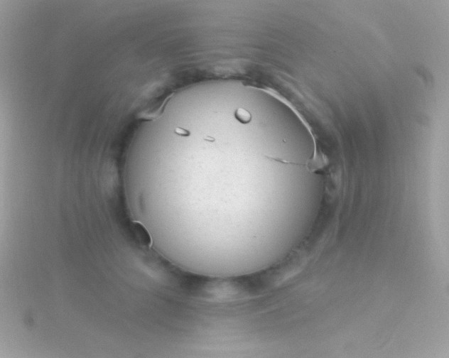 X0000115730704200911251938