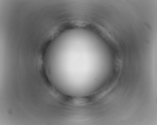 X0000115730707200911251938